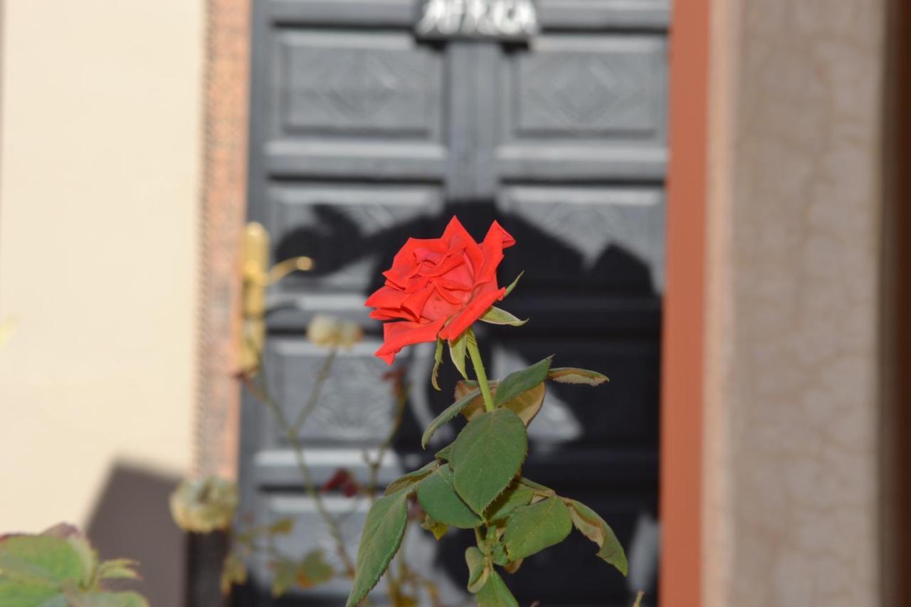 Riad See Moon And Spa Marrakesh Exterior photo
